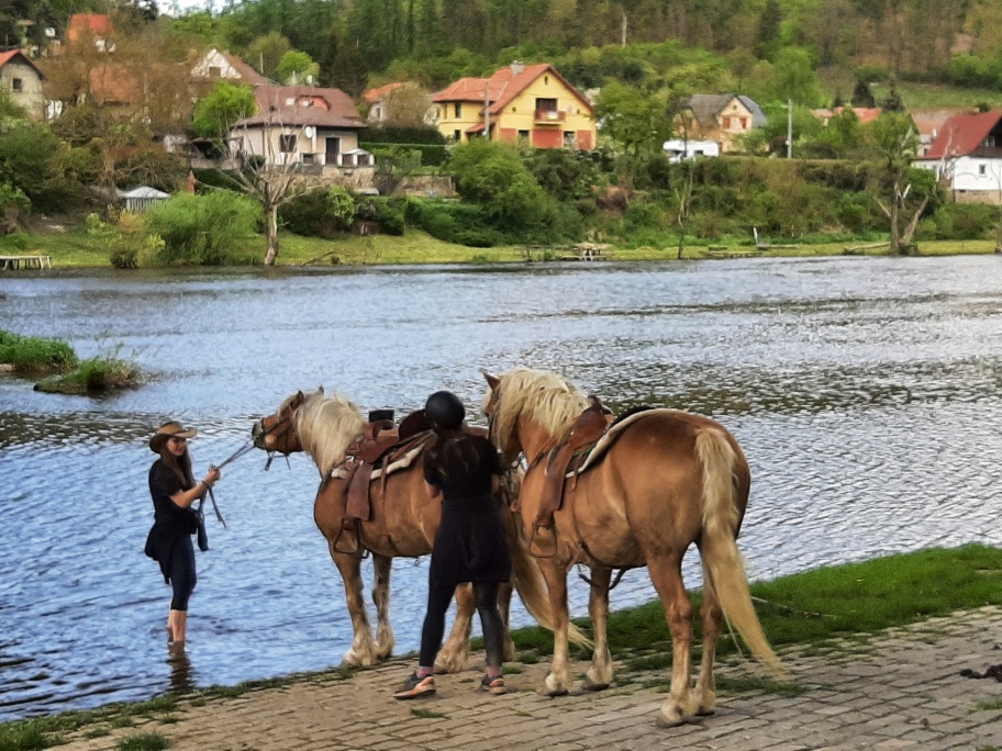 22-Berounka u Nižbora